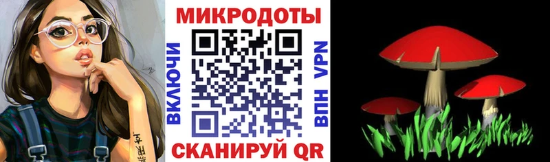 даркнет сайт  Тайга  Галлюциногенные грибы Magic Shrooms 